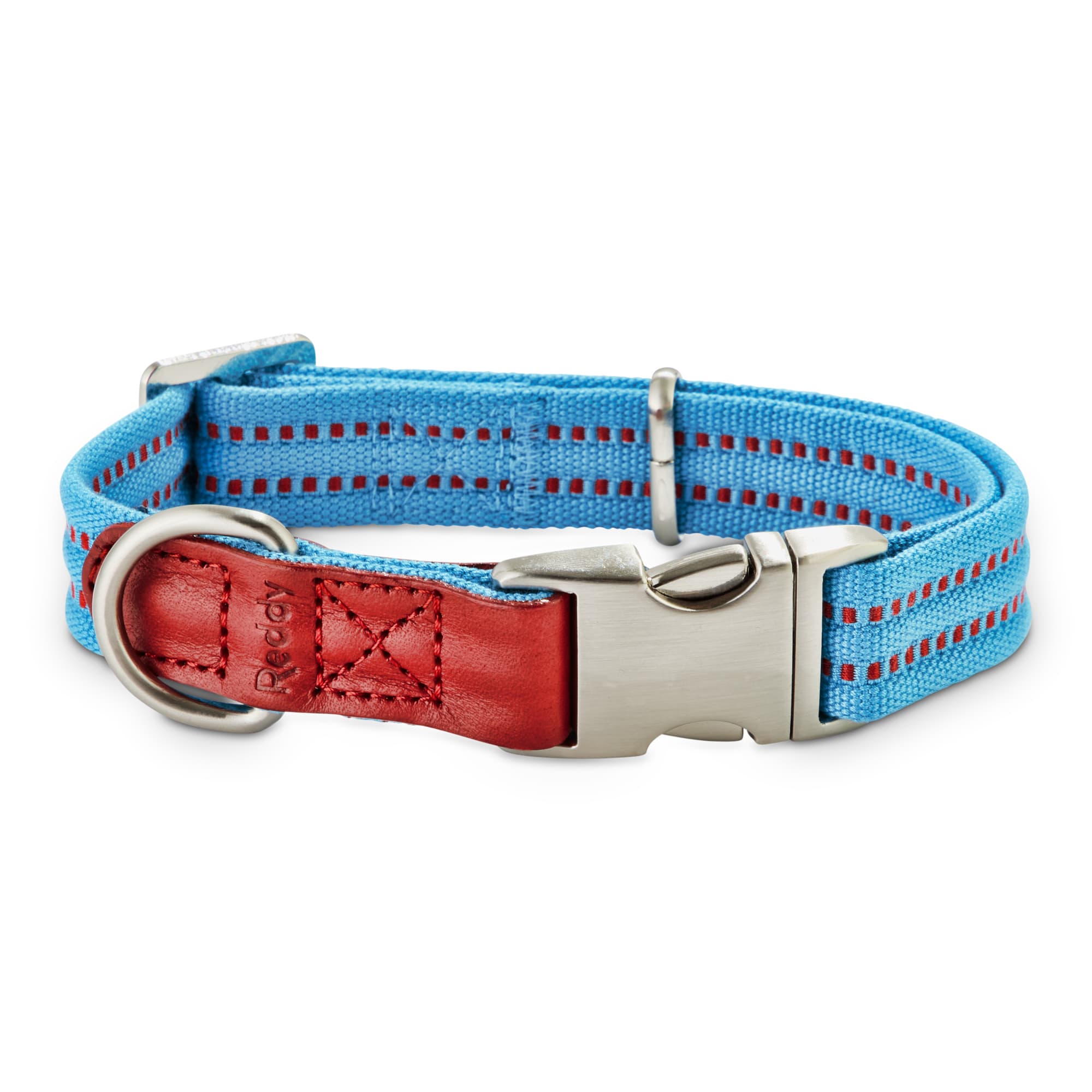 Reddy Cerulean Blue Webbed Dog Collar， Small