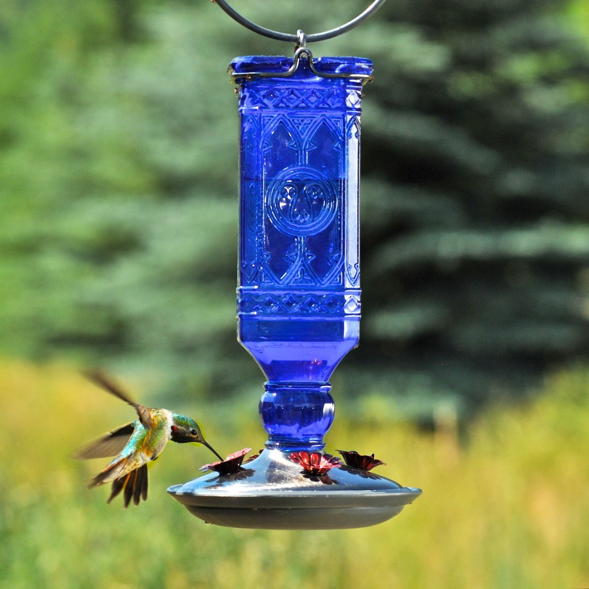 Perky-Pet Antique Glass Bottle Hummingbird Feeder