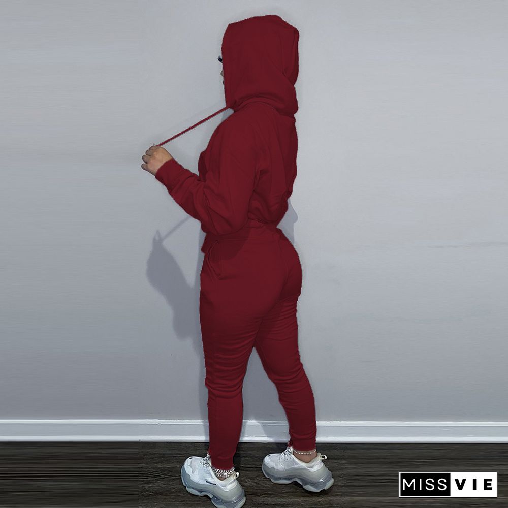 Fleece Hoodies Sweatshirt and Pants Tracksuit