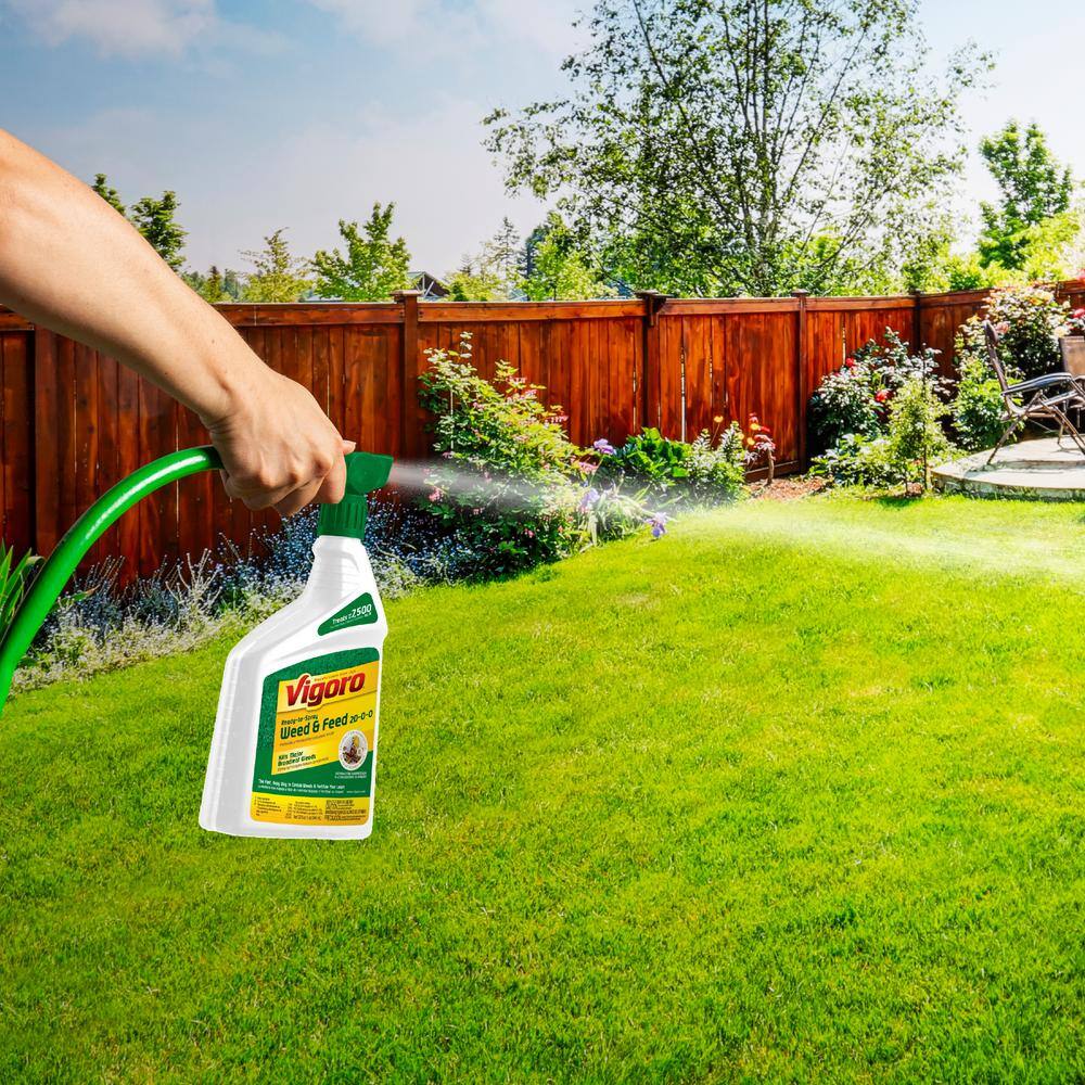 Vigoro 32 oz. 7500 sq. ft. Spring Ready-to-Spray Concentrate Weed and Feed Lawn Fertilizer HG-52511-2