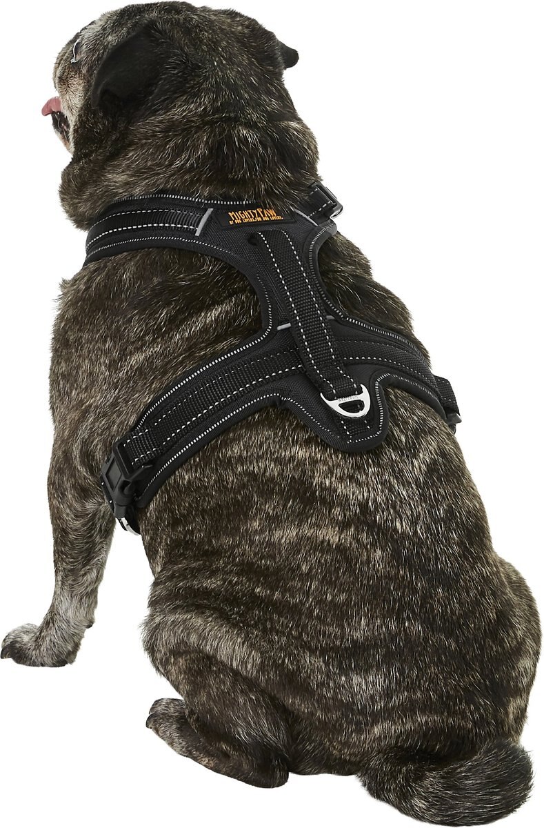 Mighty Paw Padded Sports Reflective No Pull Dog Harness