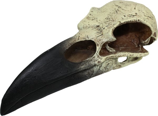 Komodo Raven Skull Aquarium Ornament