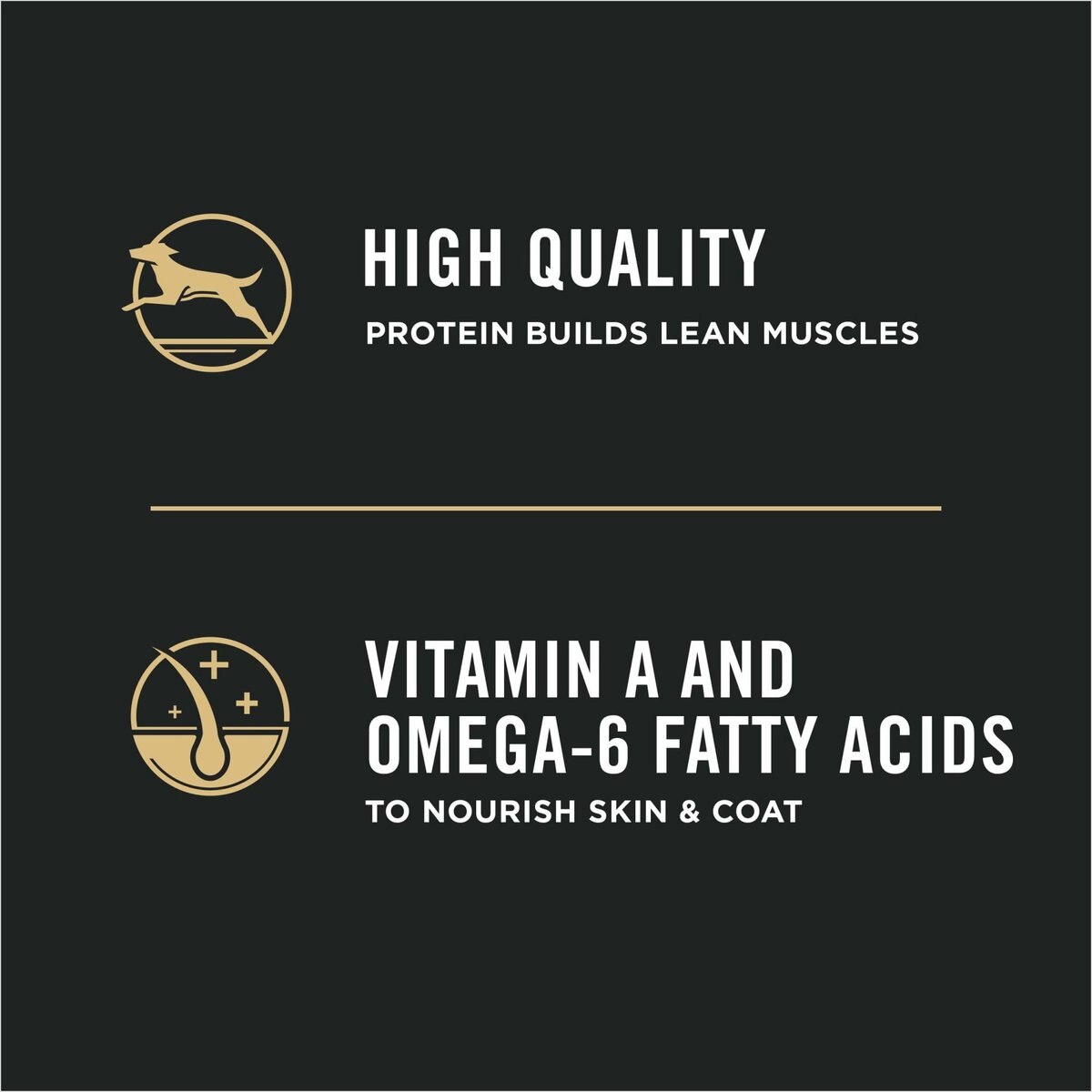 Purina Pro Plan High Protein DHA Lamb and Rice Formula Puppy Food