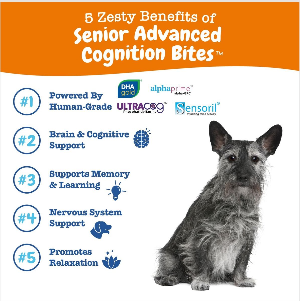 Zesty Paws Advanced Cognition Bites Chicken Flavored Soft Chews Brain and Nervous System Supplement for Senior Dogs