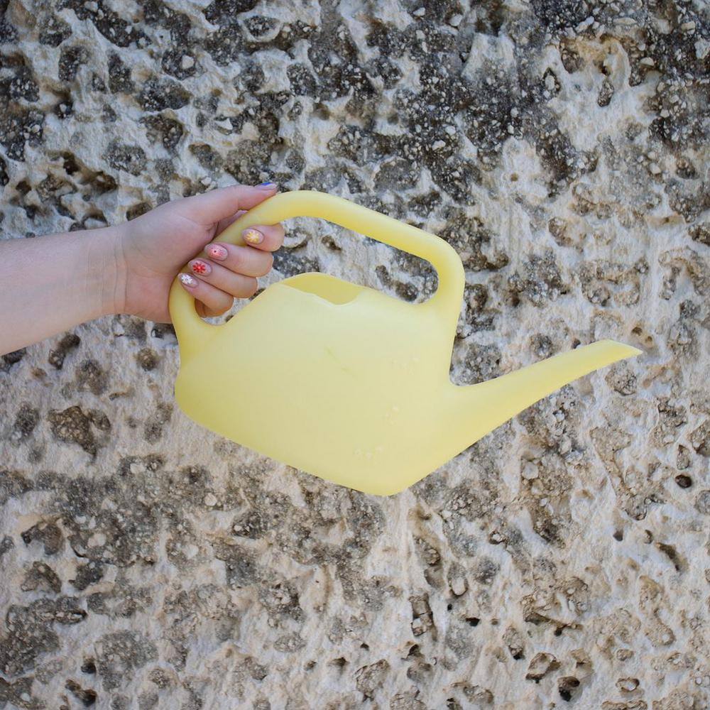 Bloem Translucent 50 oz. Goldfinch Plastic Watering Can 434157-4004