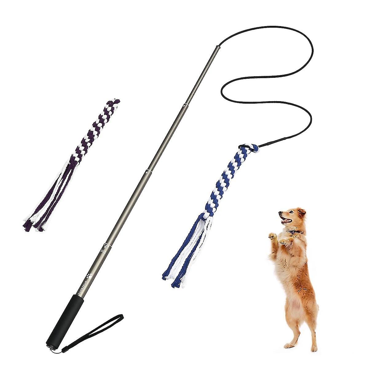 Pets Toys Interactive Extendable Flirt Pole Funny Chasing Tail Teaser And Exerciser For Dogs Interactive