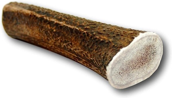 Top Dog Chews X-Large Antler Dog Chew