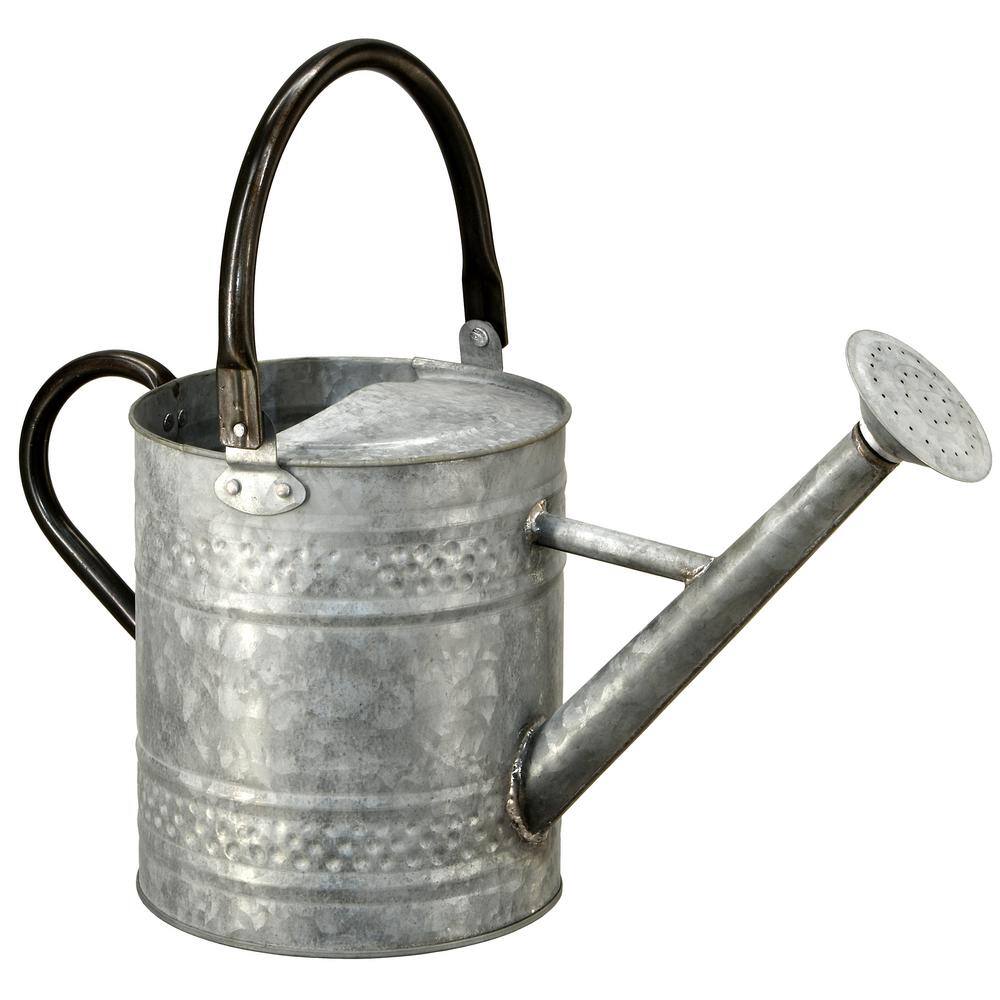 National Tree Company 16 in. Garden Accents Antique Watering Can GAWC30-9Z