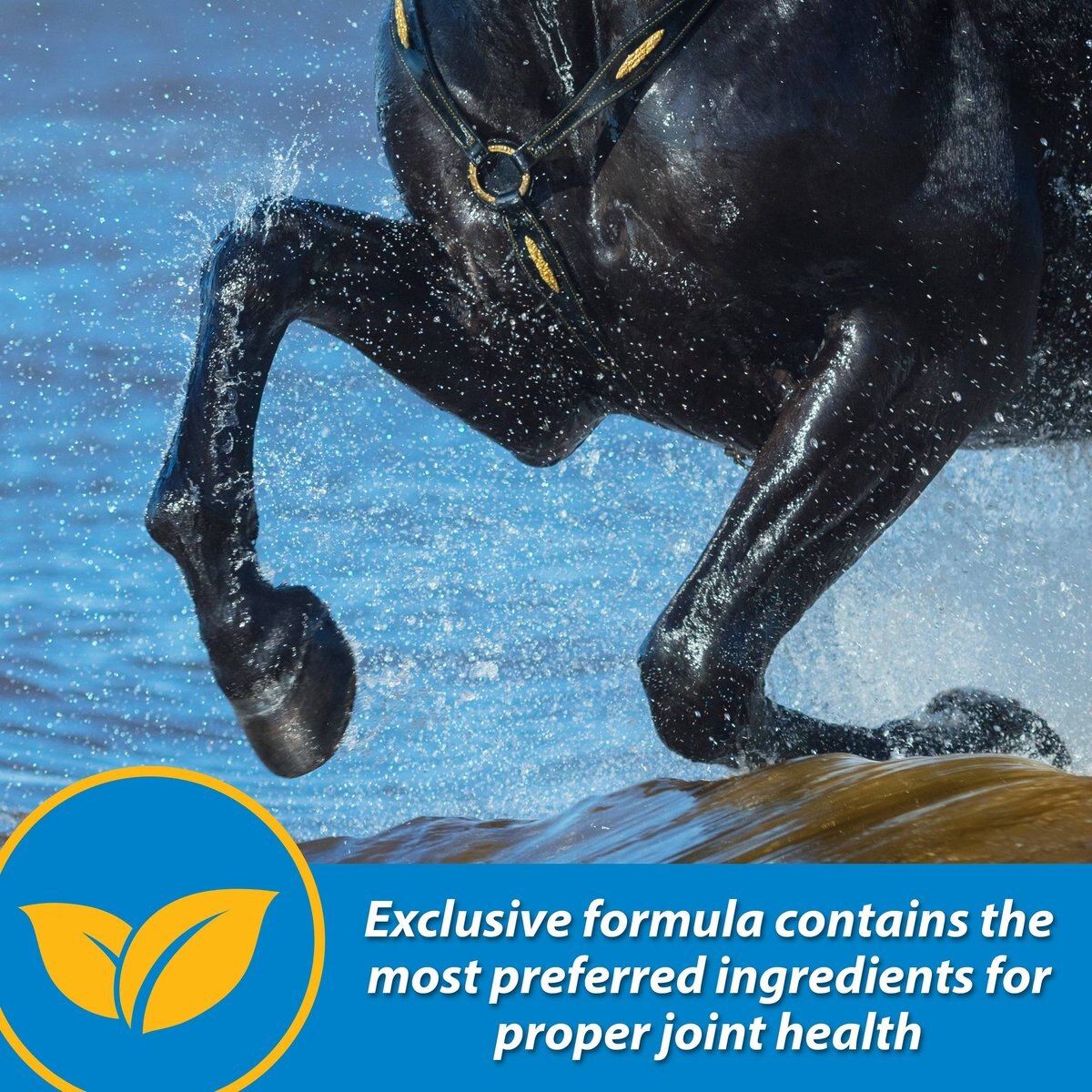 Farnam FluidFlex Joint Solution Liquid Horse Supplement