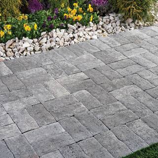 Pavestone Clayton 7 in. L x 3.5 in. W x 1.77 in. H Greystone Concrete Paver (840-Pieces142.8 sq. ft.Pallet) 11019534