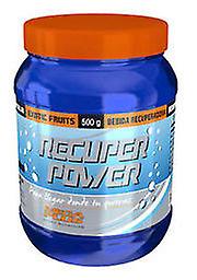 MegaPlus Recuperator Power 500 gr