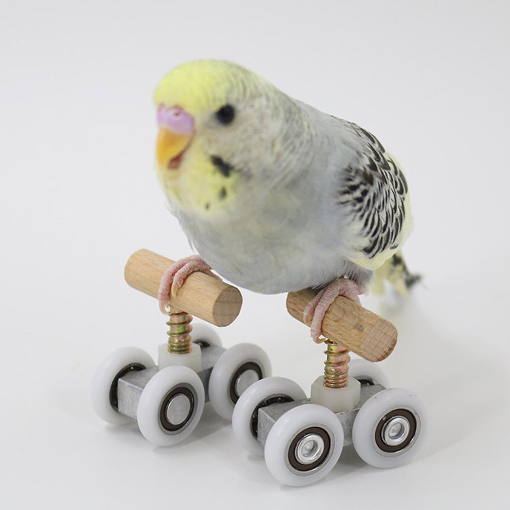 Small Parrots Trick Roller Skates Adjustable Pet Birds Playground Small