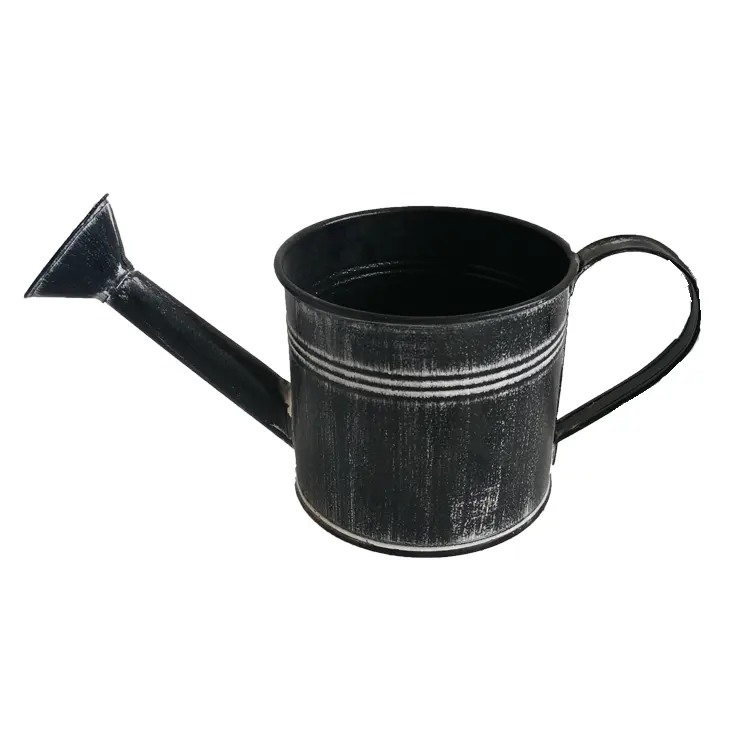 Wholesale vintage metal flower pot garden tool watering can with handle decorative home