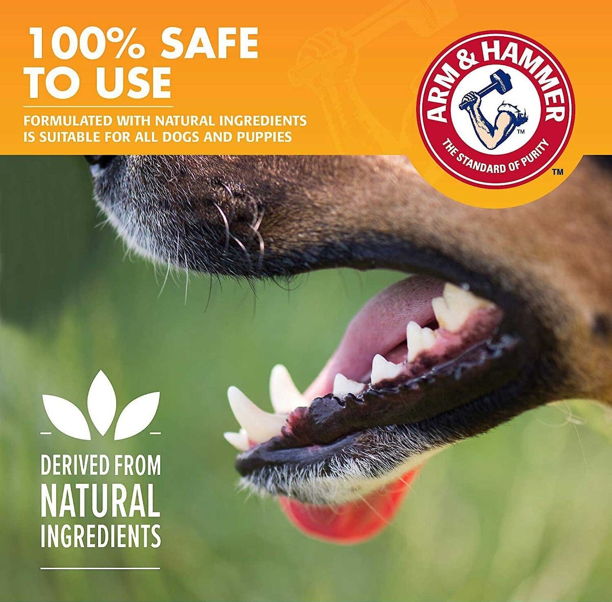 Arm and Hammer Fresh Breath Chicken Flavored Enzymatic Dog Dental Kit