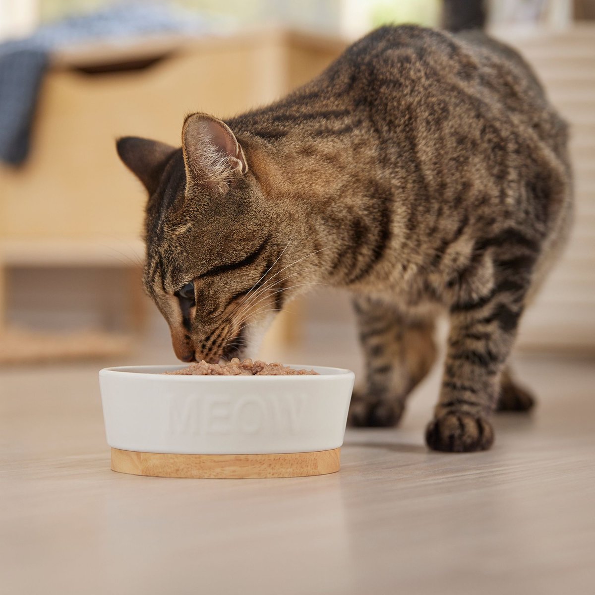 Evanger's Grain-Free Beef Canned Dog and Cat Food