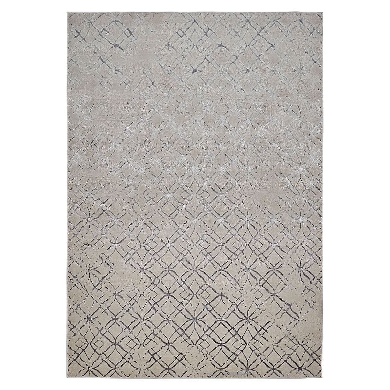 Weave and Wander Orin Distressed Rug