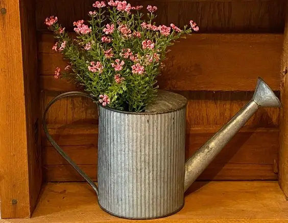 Galvanized Sheet Planter Garden Tools Water Can Safety Health Metal Premium Quality Garden Tools round shape gold Mini