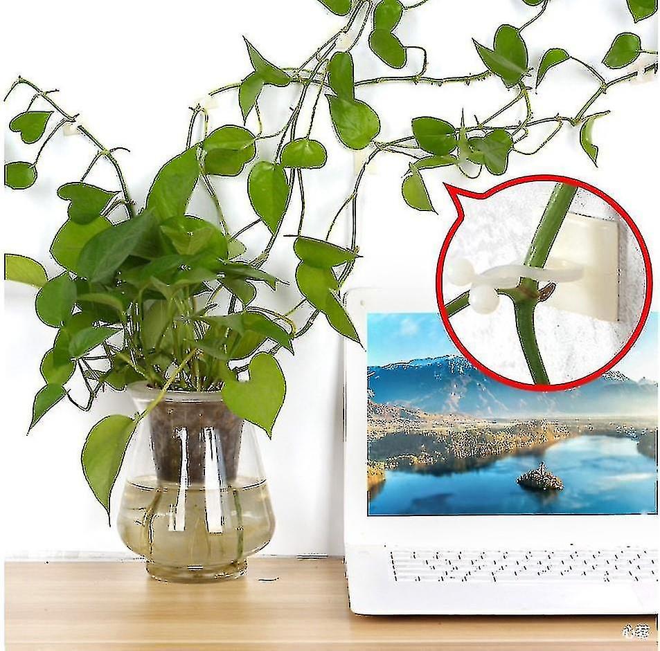 50 Pcs Paste Seamless Hook Green Radish Climbing Wall Fixer Green Plant Fixer Vine Green Vine Climbi