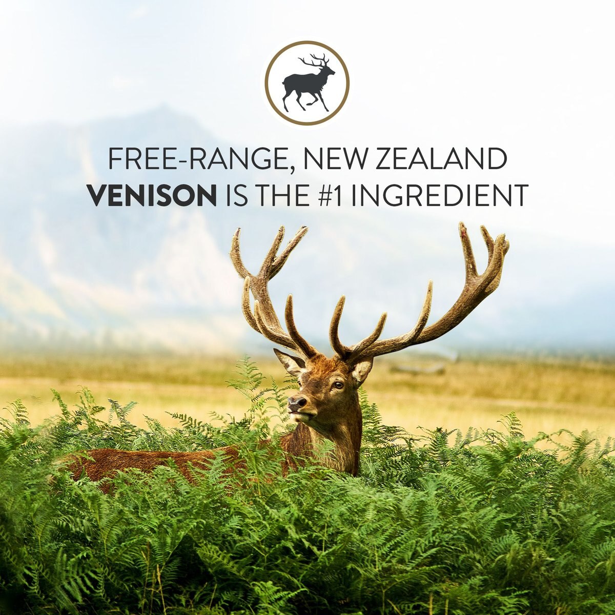 Addiction Grain-Free Viva La Venison Dry Dog Food