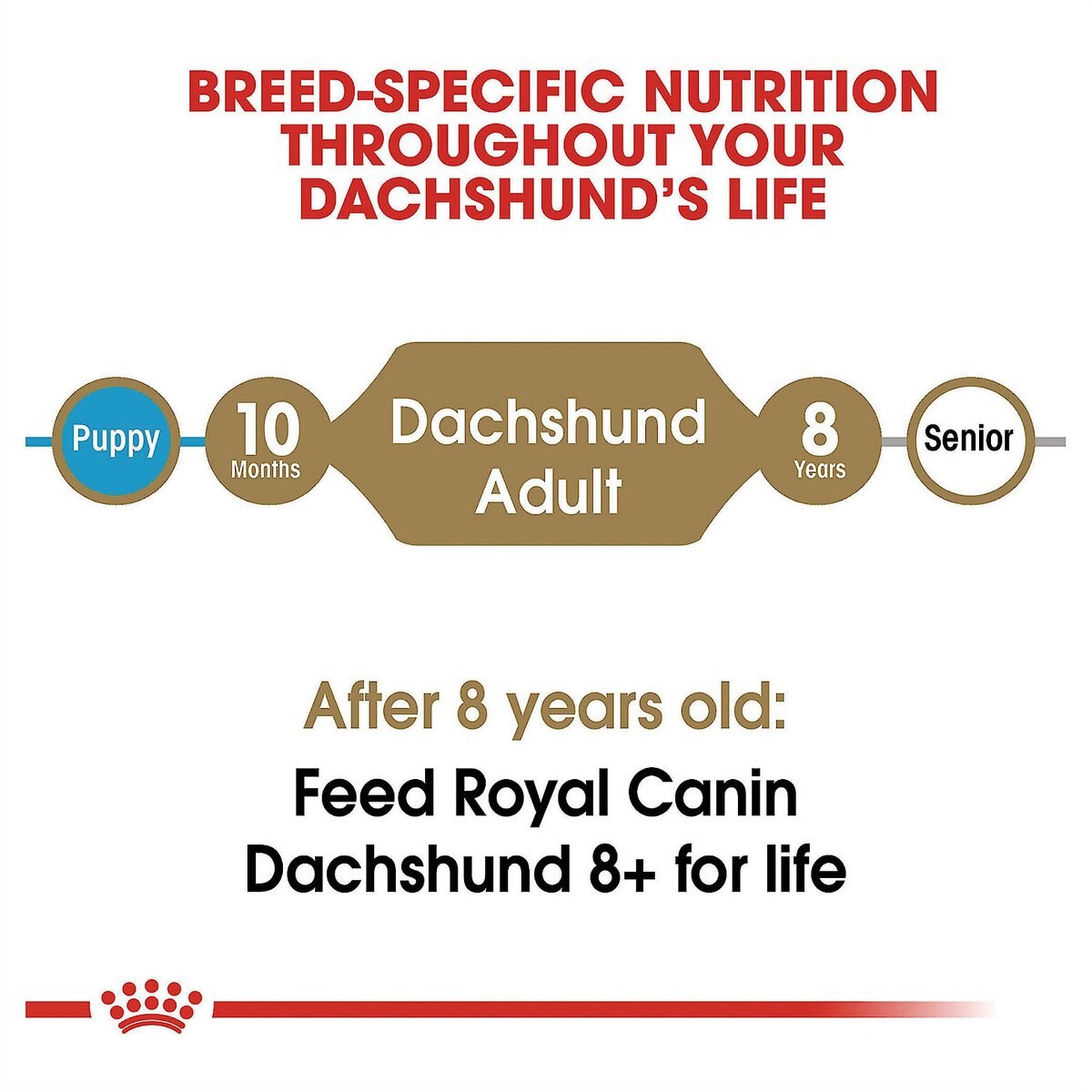 Royal Canin Breed Health Nutrition Dachshund Adult Dry Dog Food