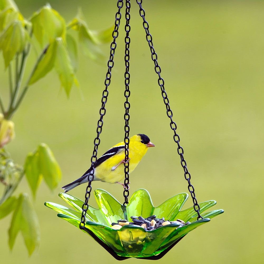 Mosaic Birds Daisy Petite Hanging Bird Feeder， 10.1-oz