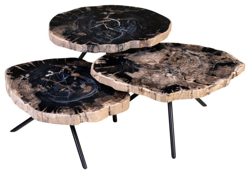 Petrified Wood Coffee Table Set  3 Piece Set  Versmissen   Contemporary   Coffee Table Sets   by Oroa   Distinctive Furniture  Houzz