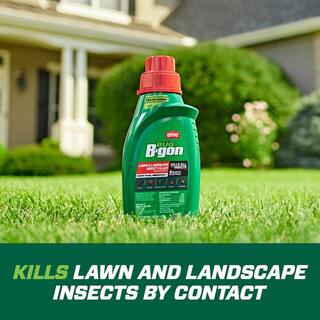 Ortho Bug B-gon 32 fl. oz. Lawn and Landscape Insect Killer Concentrate Works on Ants Spiders Fleas and Ticks 017721005