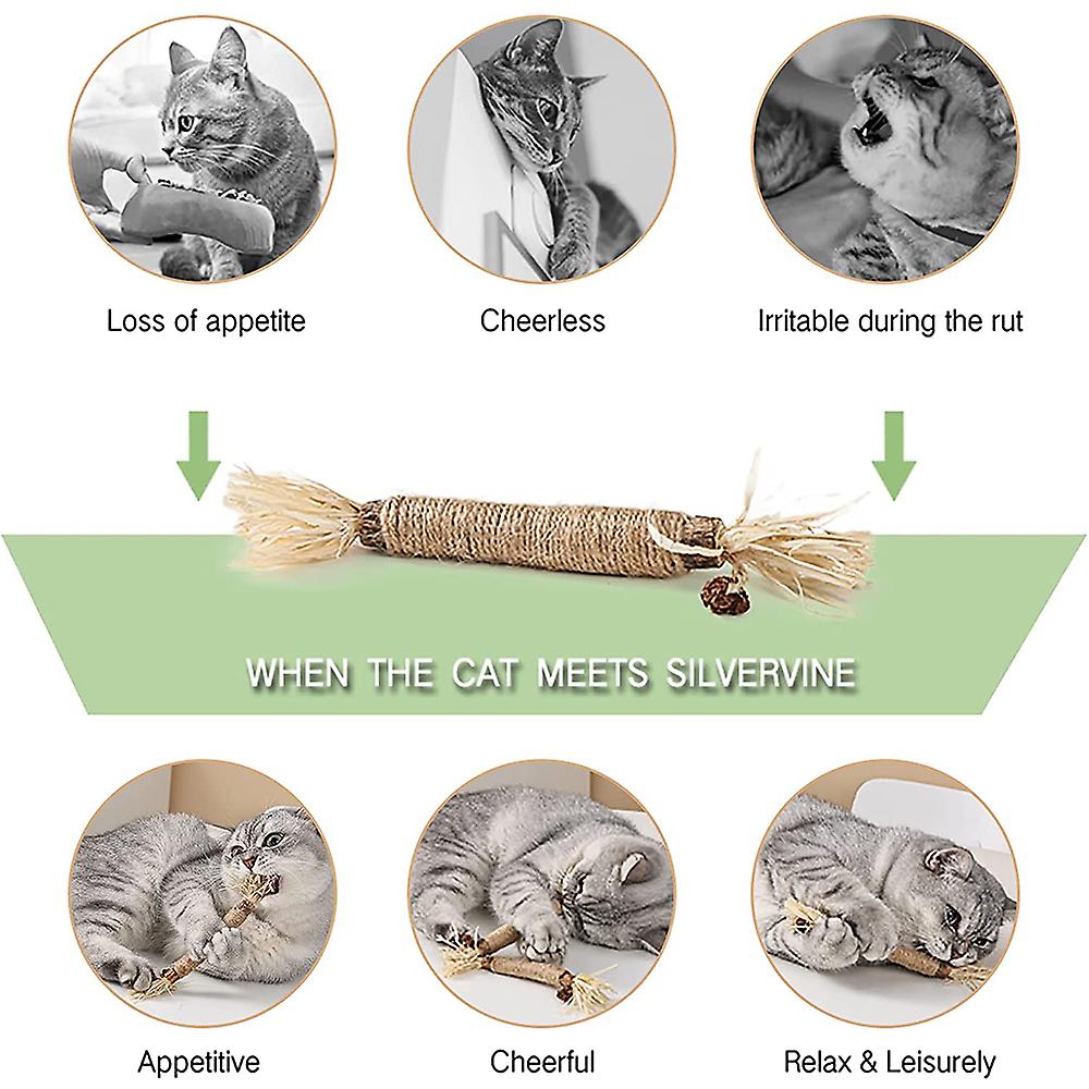 Cat Toys Silvervine Chew Stick，kitten Treat Catnip Toy Kitty Natural Stuff With Catnip For Cleaning Teeth Molar Dental Pet