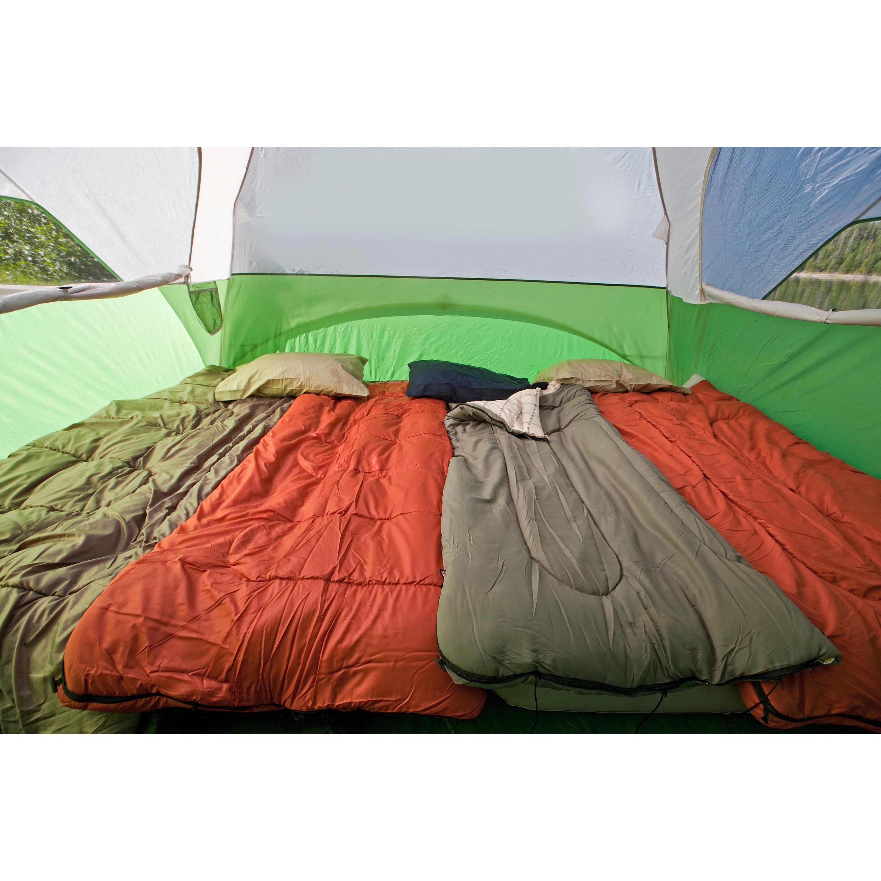 Coleman Evanston 6-Person Dome Tent with Screen Room， 2 Rooms， Green