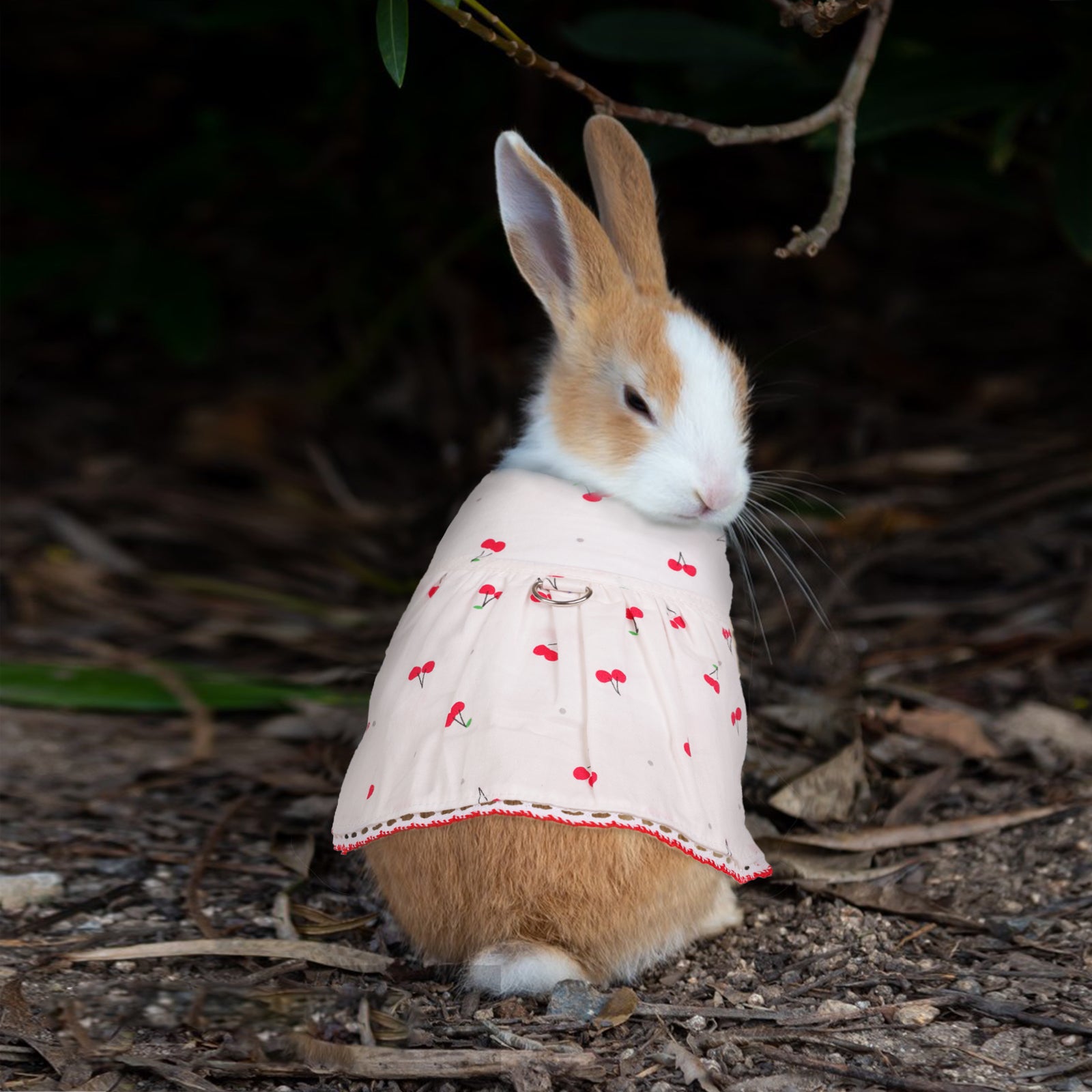 BRKURLEG Cute Bunny Rabbit Dress Clothes， Cherry Cotton Small Animal Costume for Squirrel Mini Dog Chinchilla Ferret Hedgehog Guinea Pig， Small Pet Apparel Outfits for Party Daily Wear