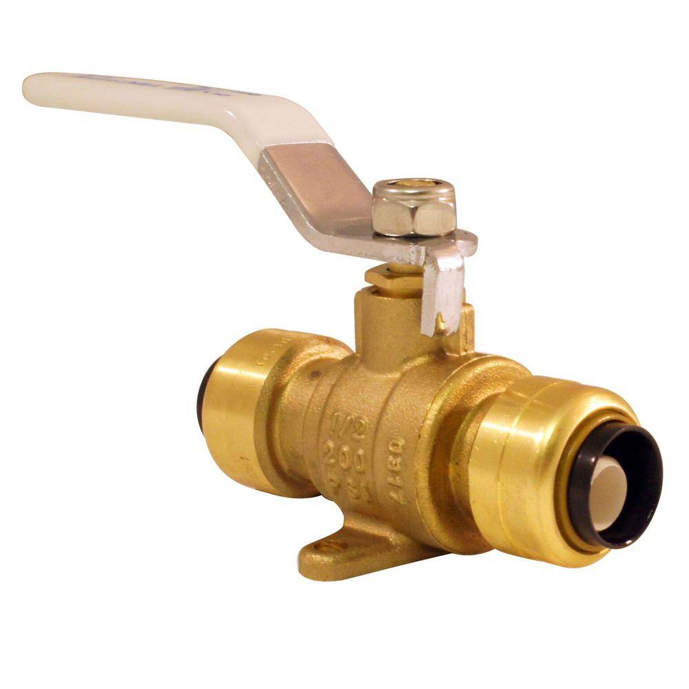 Tectite 12 in. Brass Push Ball Valve with Flange and Drain FSBBV12DE