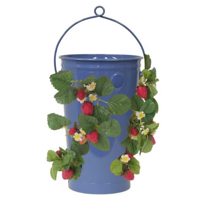 Houston International Trading 8493E B Enameled Galvanized Strawberry & Flower Planter& Blue