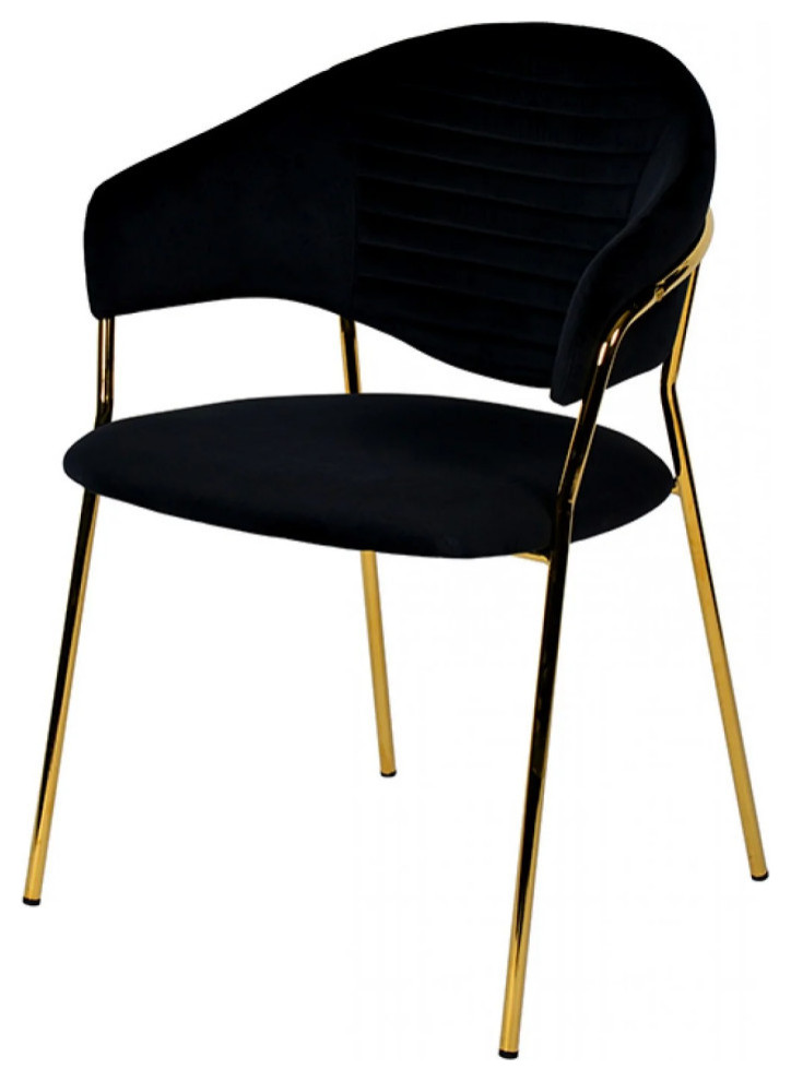 Tilly Modern Black Velvet and Gold Dining Chair  Set of 2   Midcentury   Dining Chairs   by V.S.D Furniture  Houzz