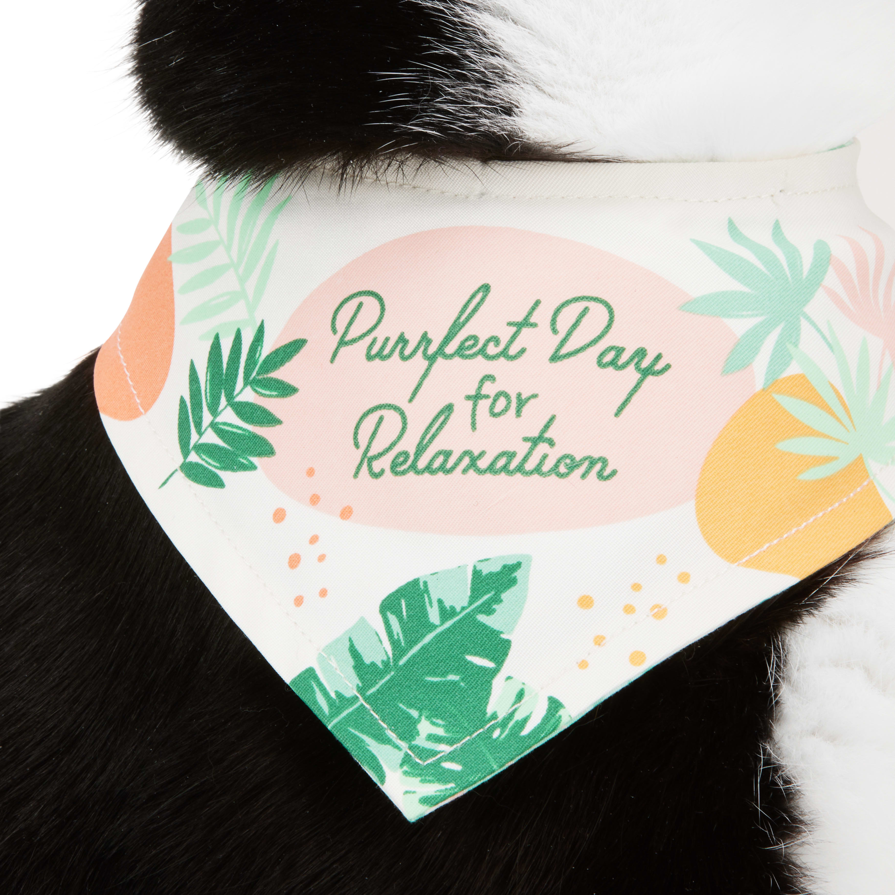 YOULY Relax Reversible Bandana for Cats， X-Small