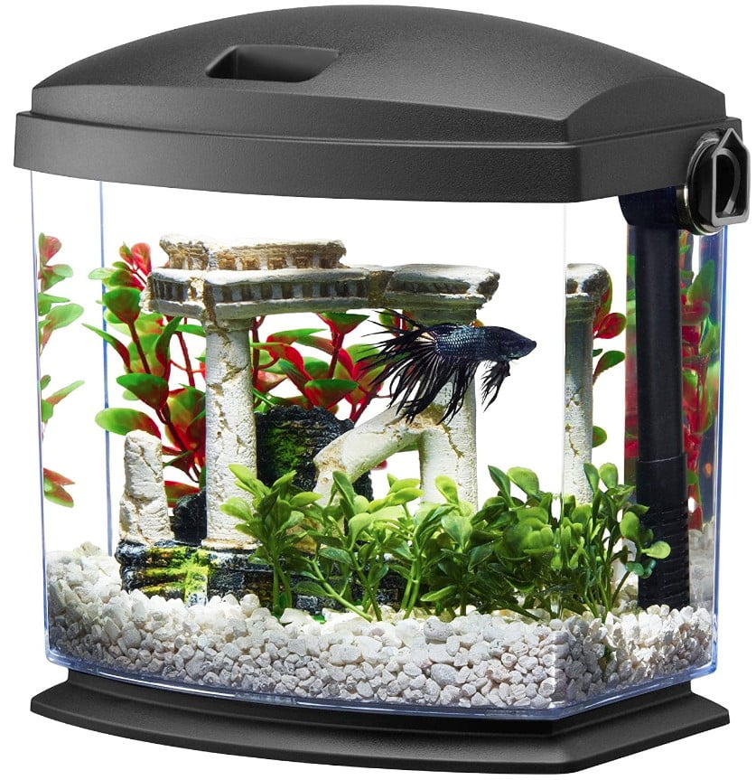 Aqueon Betta Bow Quickclean 1 Gallon