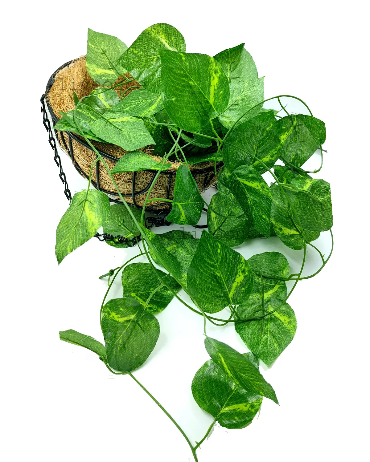 Bulk Selling Garden Supplies Artificial Money Plant with Coir Basket Decorative Accessories from Indian Exporter