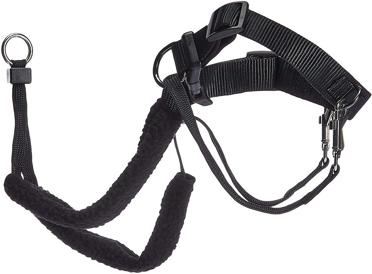 Sporn Original Training Dog Halter