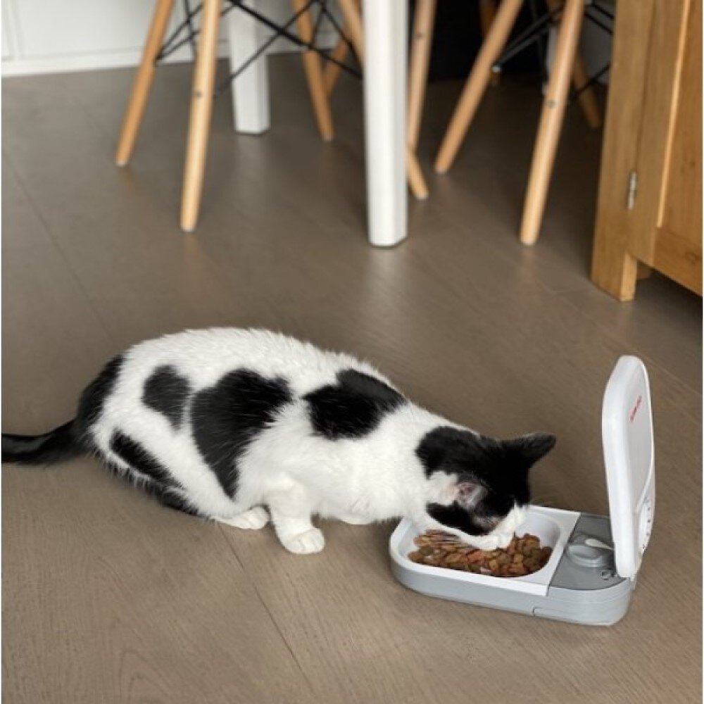 Cat Mate C100 Automatic Dog and Cat Feeder