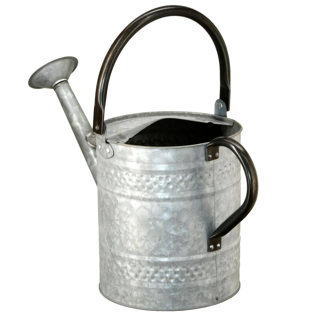 National Tree Company 16 in. Garden Accents Antique Watering Can GAWC30-9Z