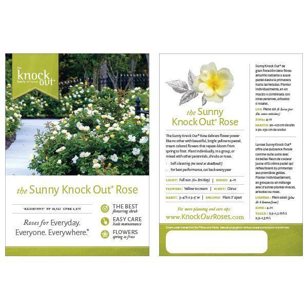 KNOCK OUT 3 Gal. Sunny Knock Out Rose Bush with Yellow Flowers 11892