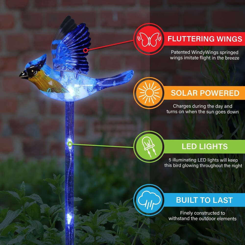 Exhart Solar WindyWing Garden Stake Set of Cardinal  Hummingbird and Blue Bird with Colored LED Lights  4 by 27 Inch