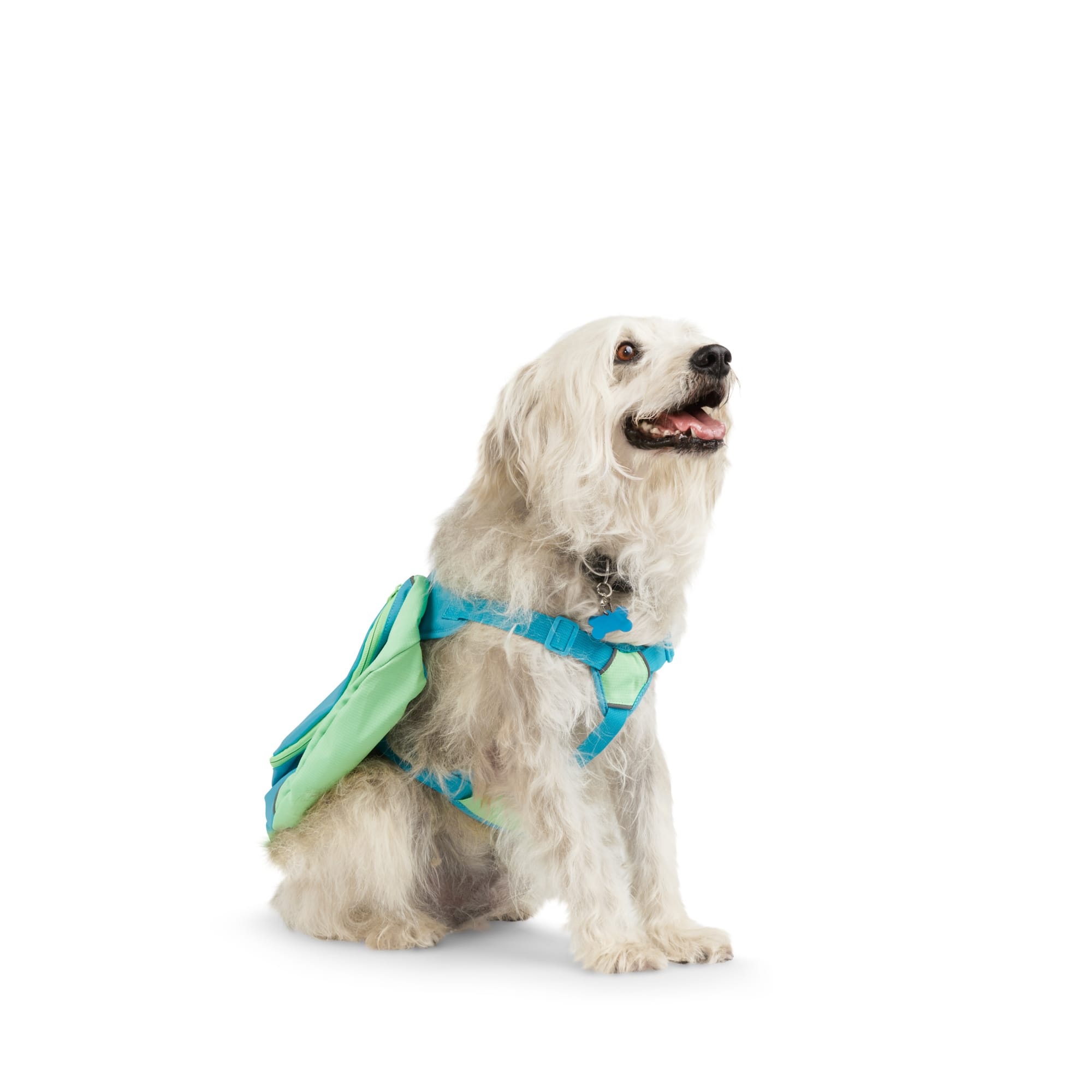 YOULY The Adventurer Dog Backpack Harness， Medium