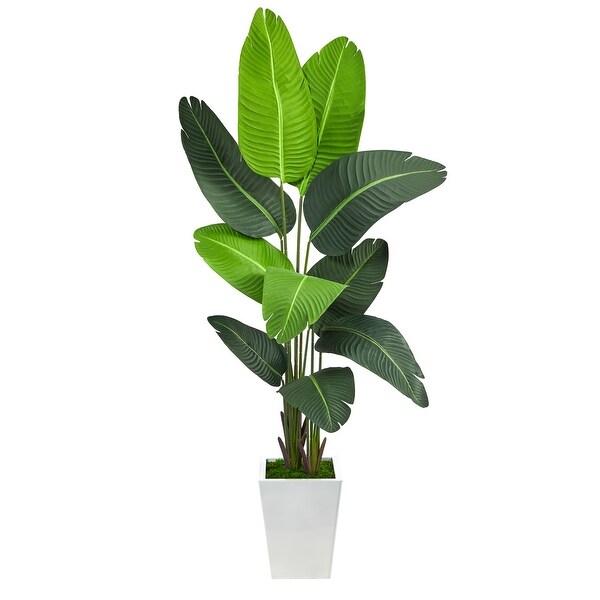 5.5' Travelers Palm Artificial Tree in White Metal Planter