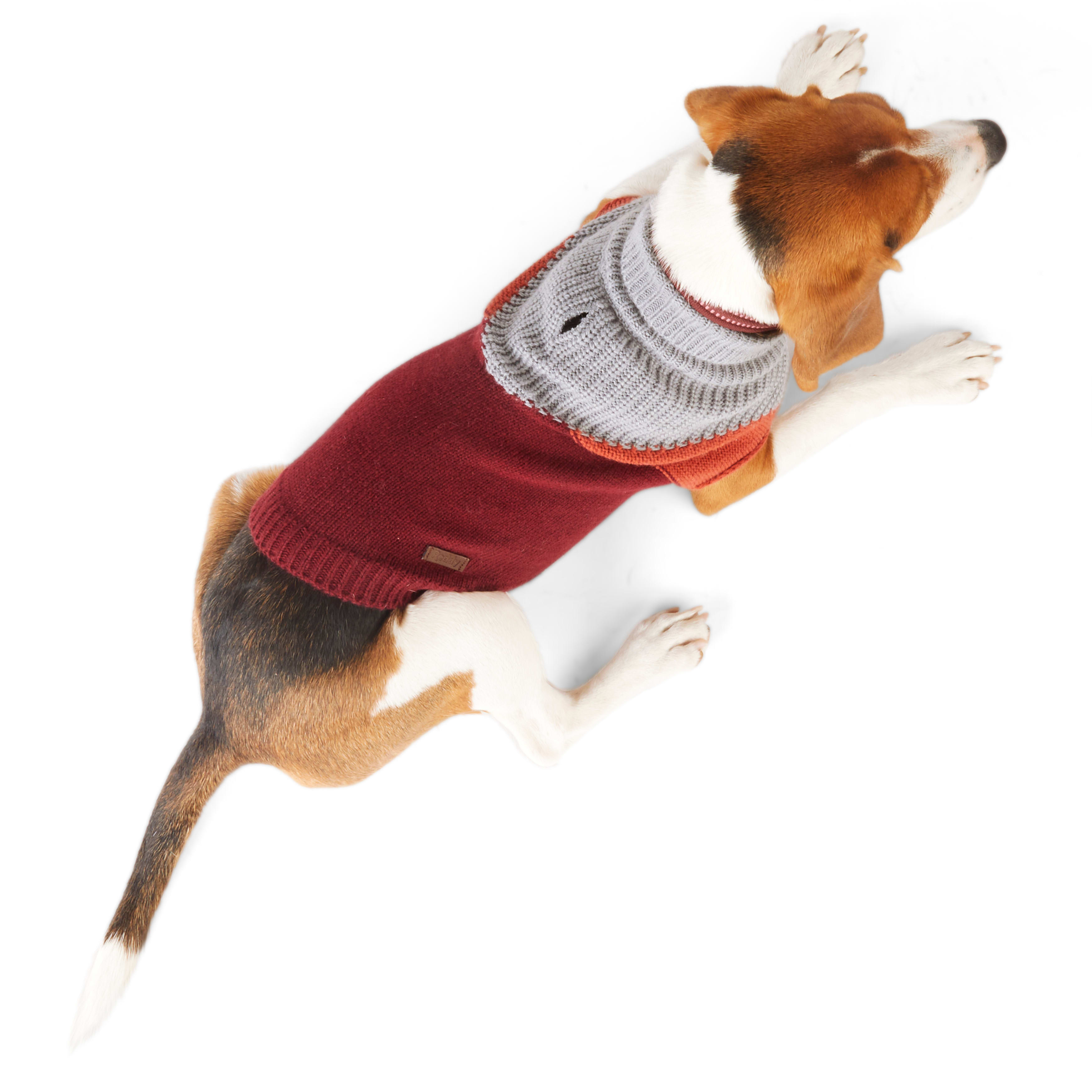 Reddy Burgundy Colorblock Dog Sweater， X-Small