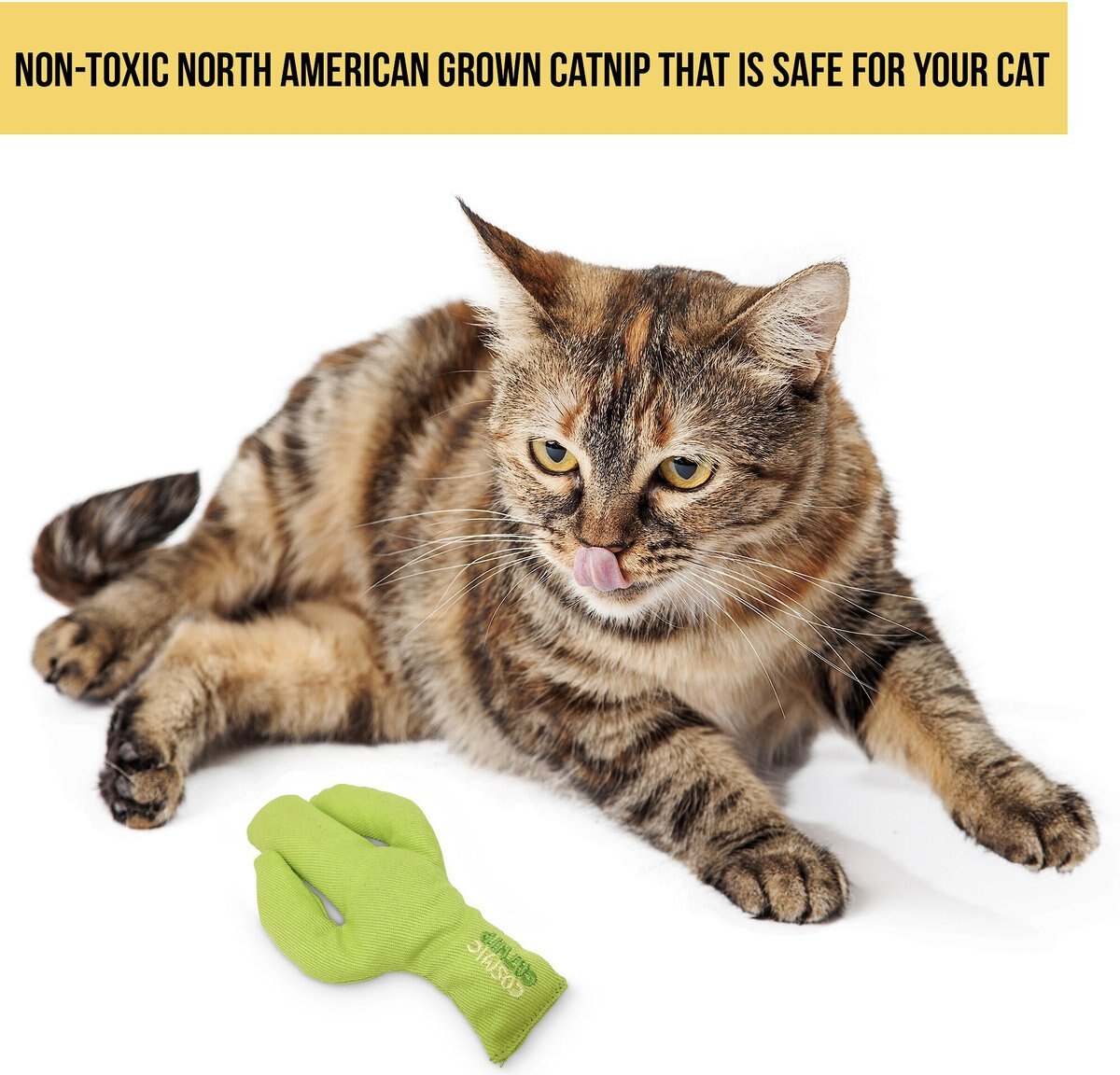 OurPets Prickles Cactus Catnip Cat Toy