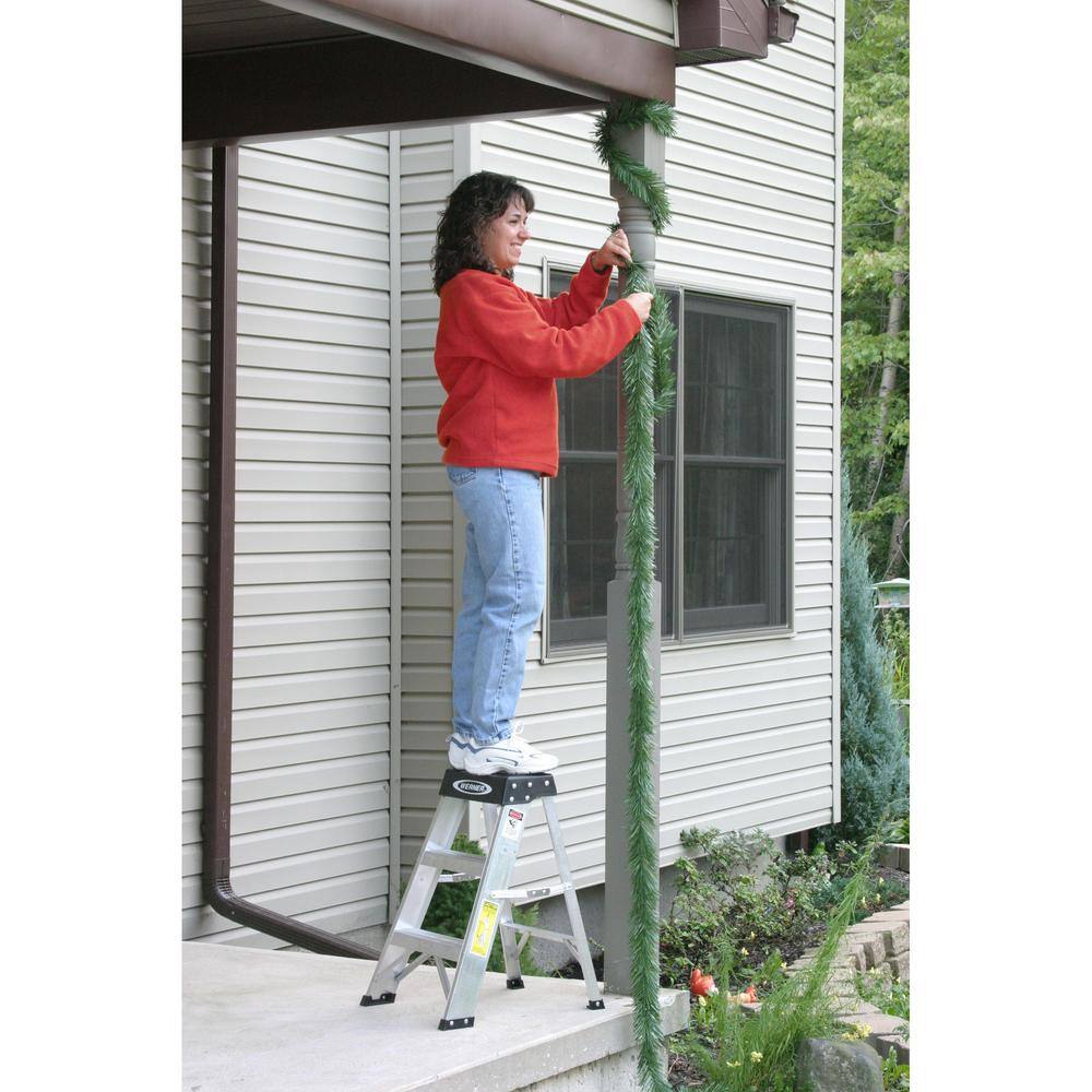 Werner 2 ft. Aluminum Step Ladder (8 ft. Reach Height) with 300 lbs. Load Capacity Type IA Duty Rating 150B