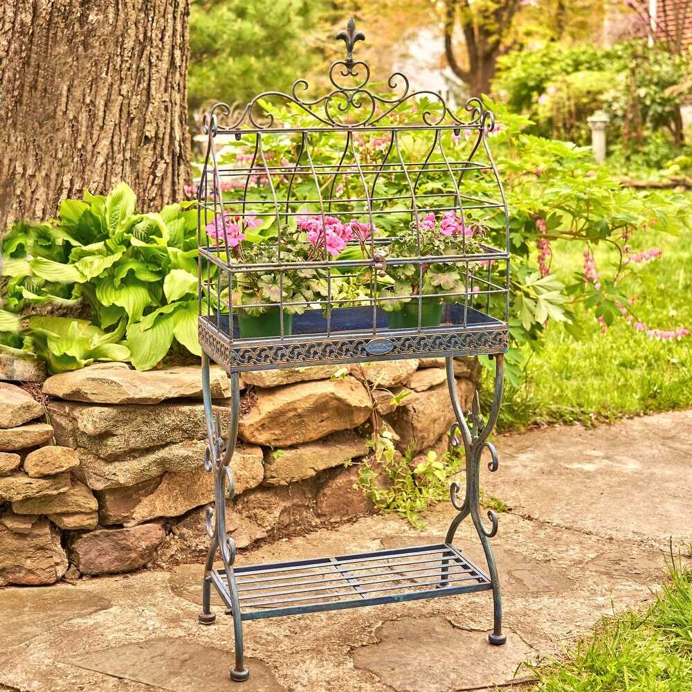 Iron Cage Plant Stand  \