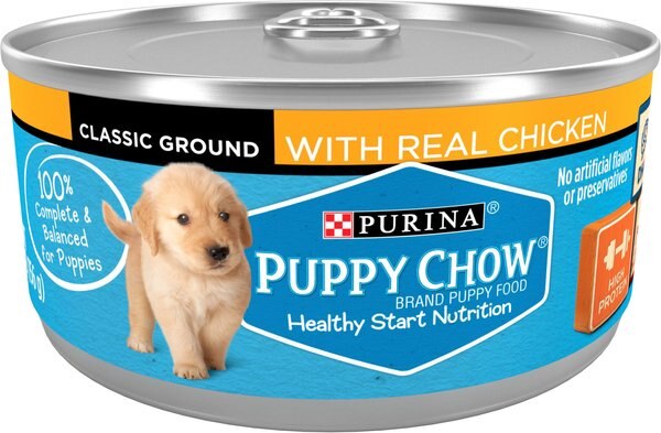 Puppy Chow Classic Ground Chicken Pate Wet Puppy Food， 5.5-oz can， case of 24