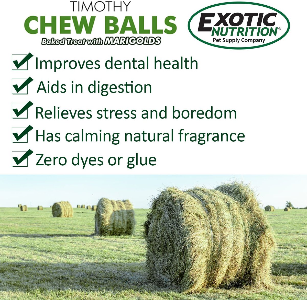 Exotic Nutrition Munchers Marigold and Timothy Chew Balls Small Animal Treats， 6 count