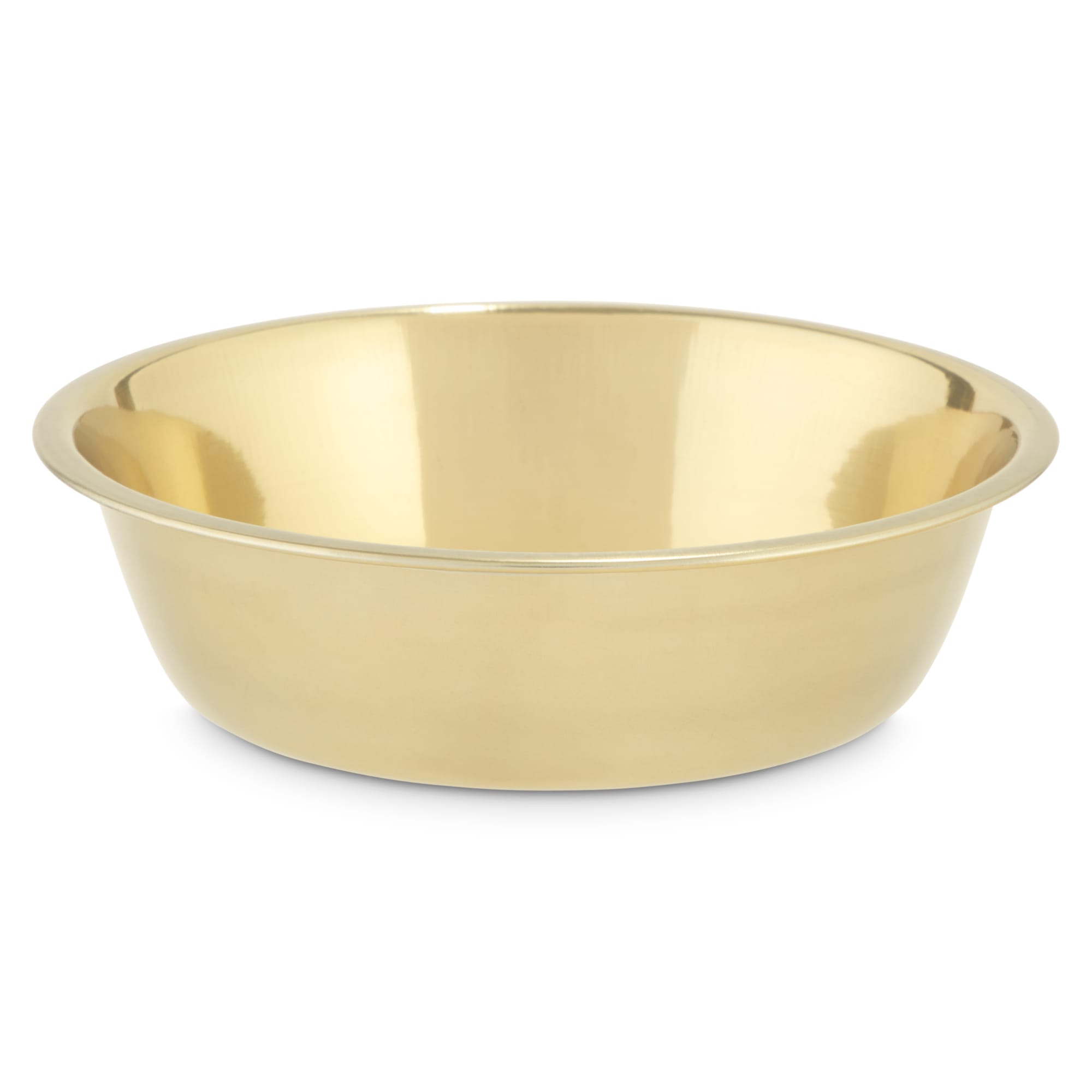 EveryYay Dining In Gold Stainless Steel Dog Bowl， 1.75 Cups